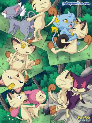 The Cat's Meowth 19 and Pokemon Comic Porn